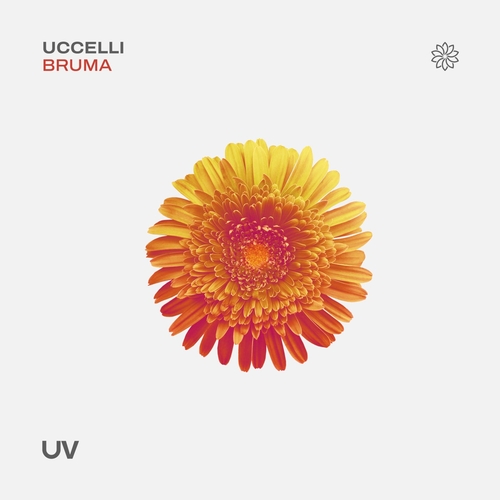 UCCELLI - Bruma [UV274]